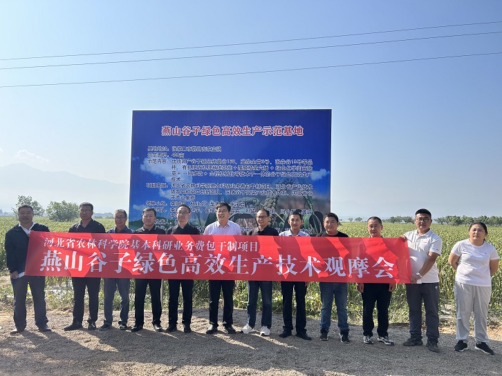 1700033996608009017.jpg 2.jpg