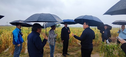 1700034982204059037.jpg 1.jpg