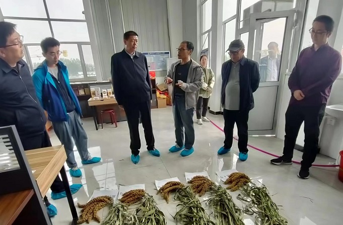 1700035010187057384.jpg 3.jpg