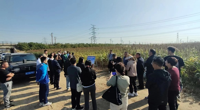 1700035465654031067.jpg 1.jpg