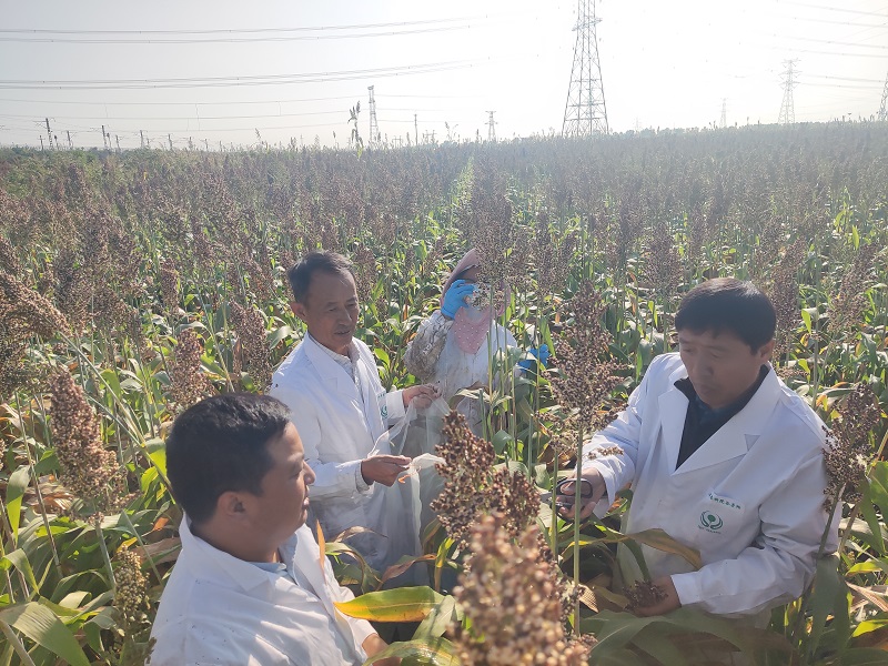 1700035515020021484.jpg 4.jpg